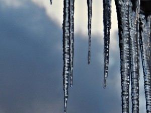 blog14